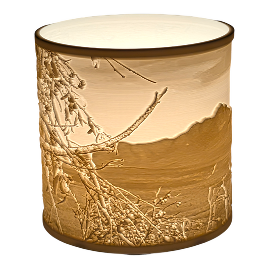 Stirling Ranges Lampshade