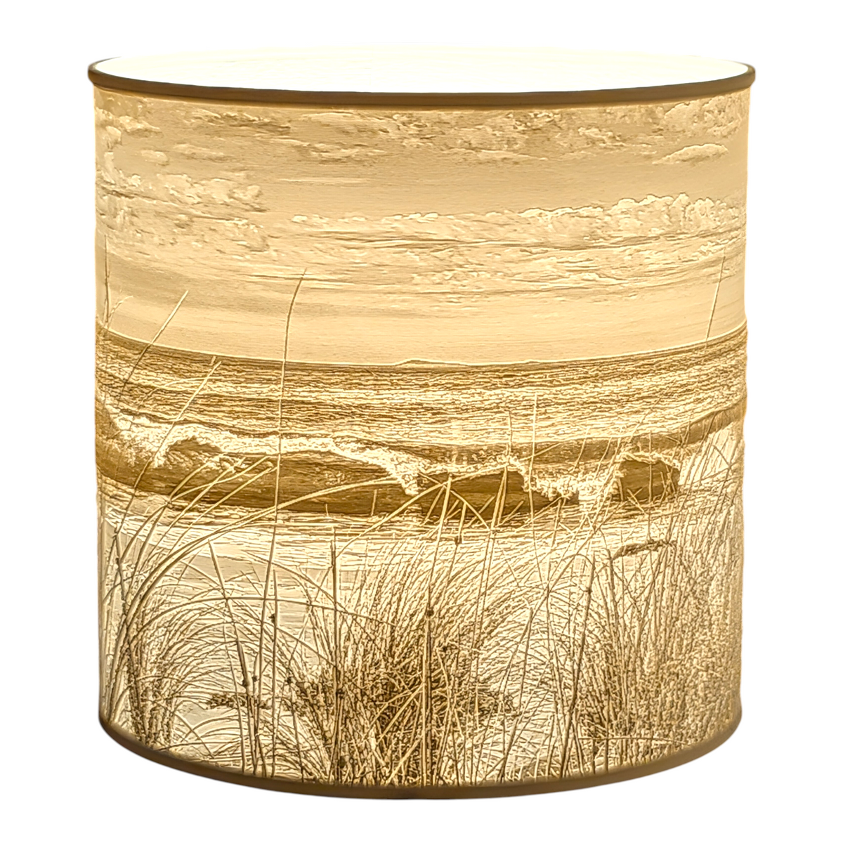 Shelly Beach Lampshade