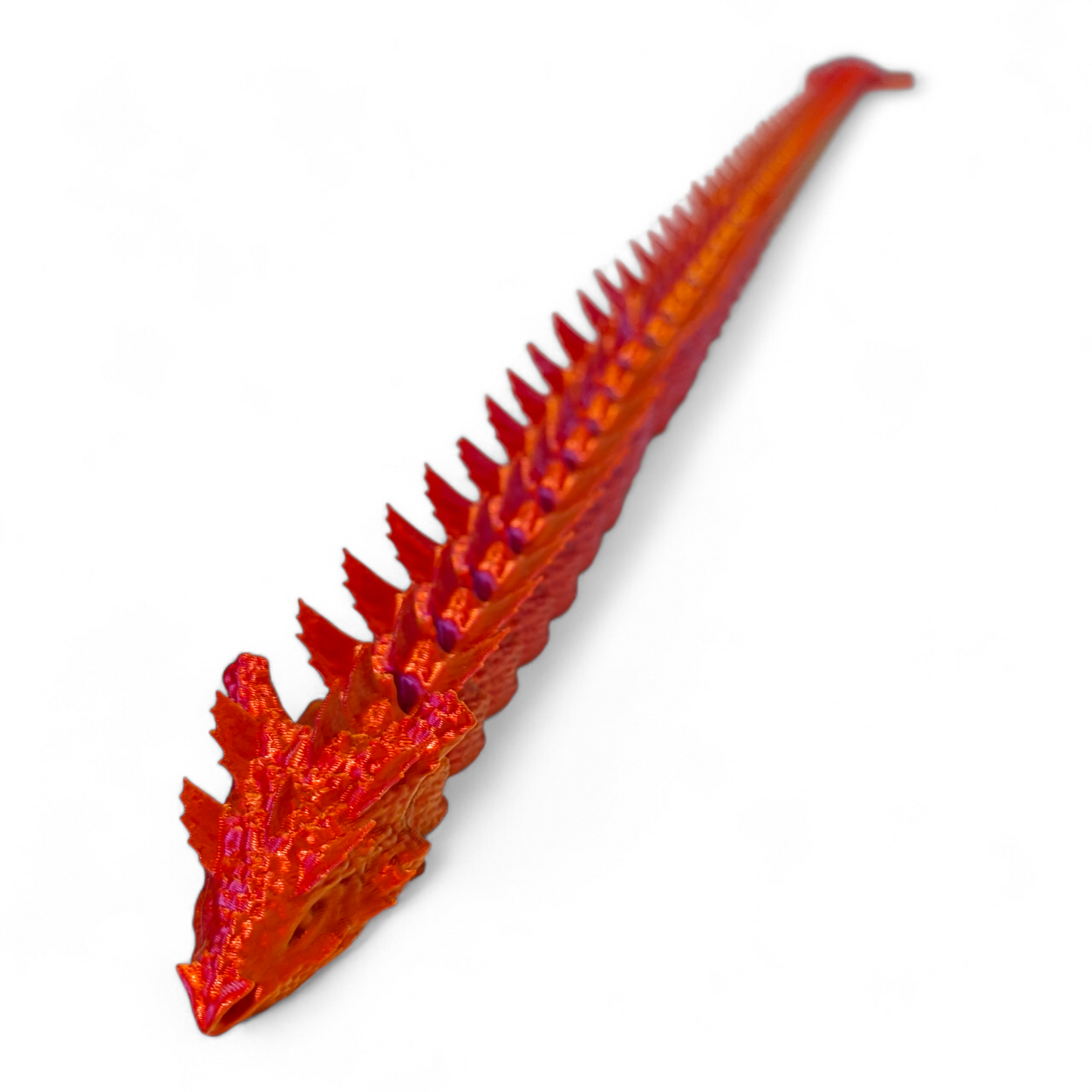 Articulated Water Dragon