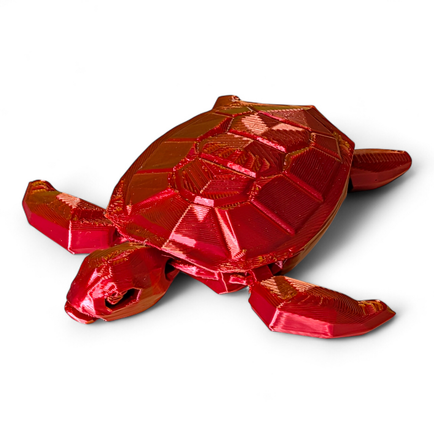 Articulated Sea Turtle