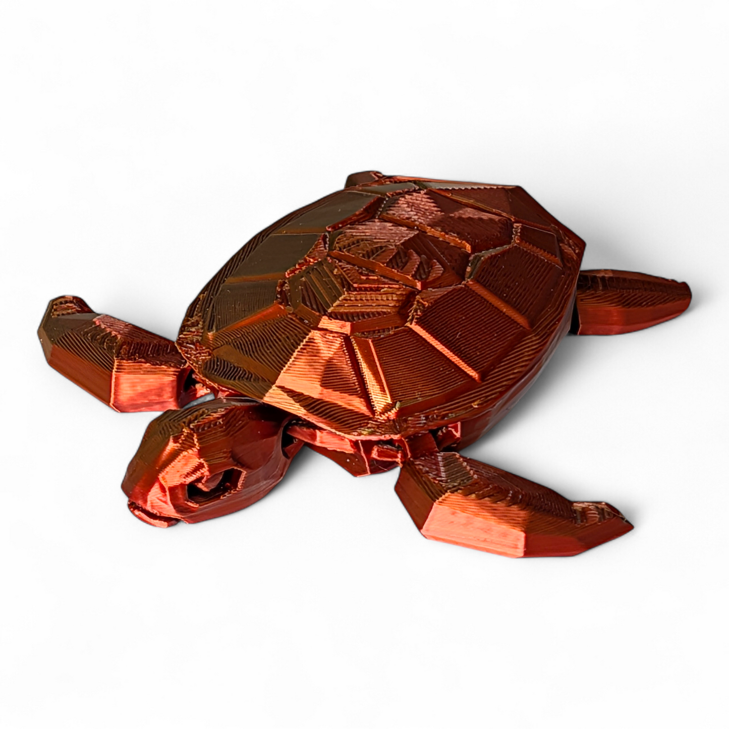 Articulated Sea Turtle