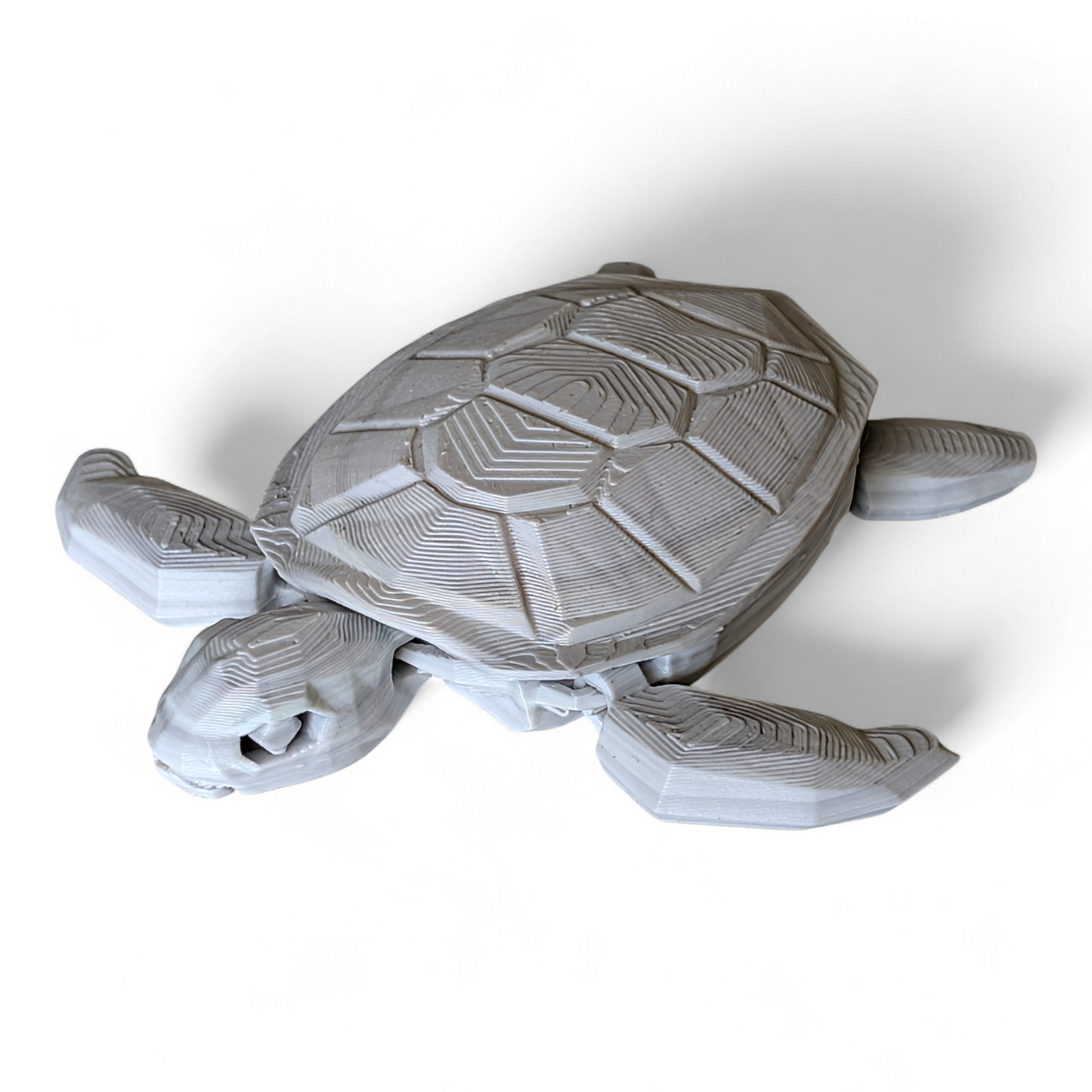 Articulated Sea Turtle