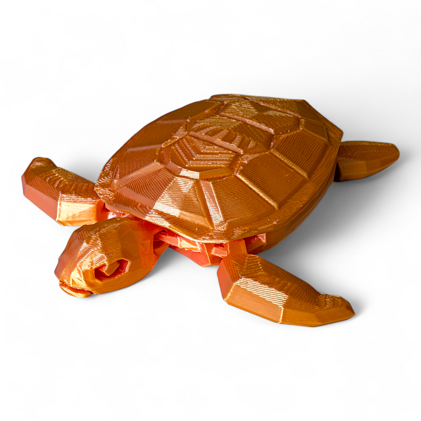 Articulated Sea Turtle