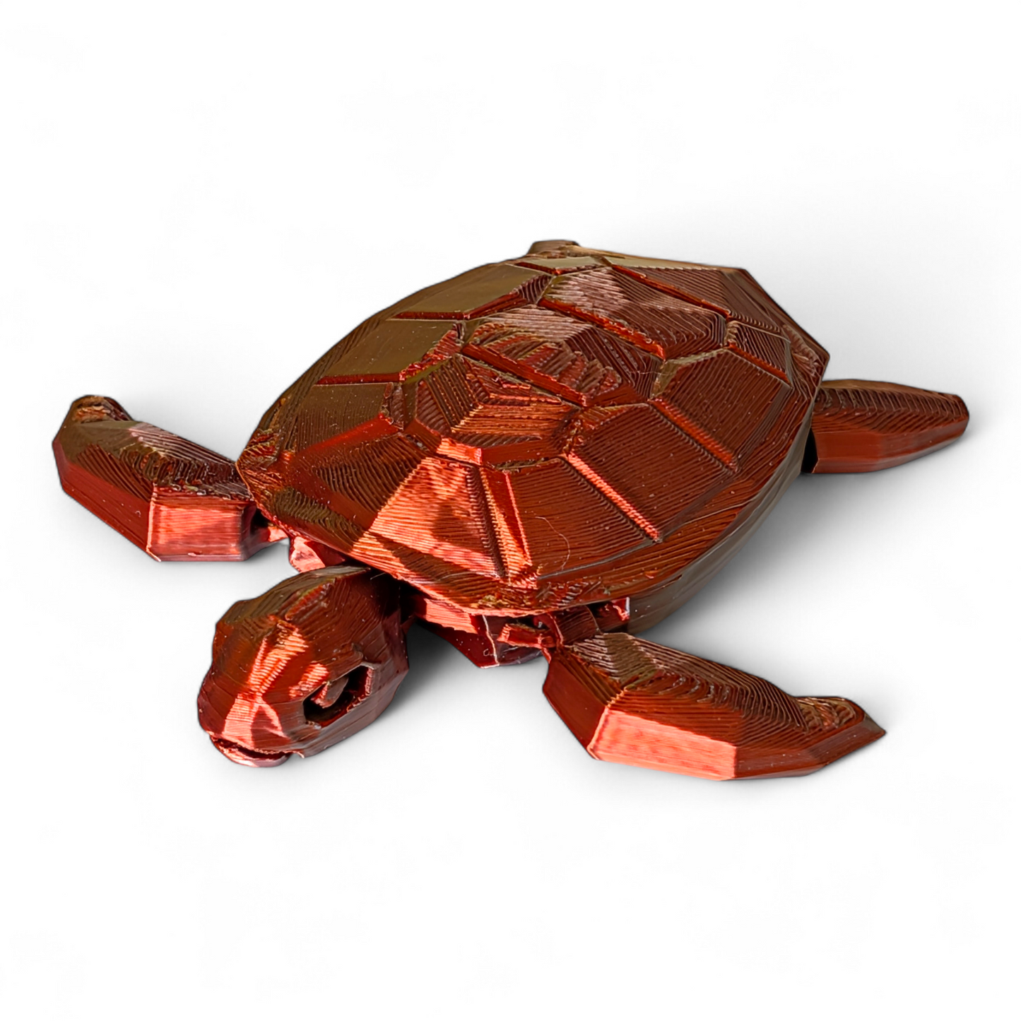 Articulated Sea Turtle