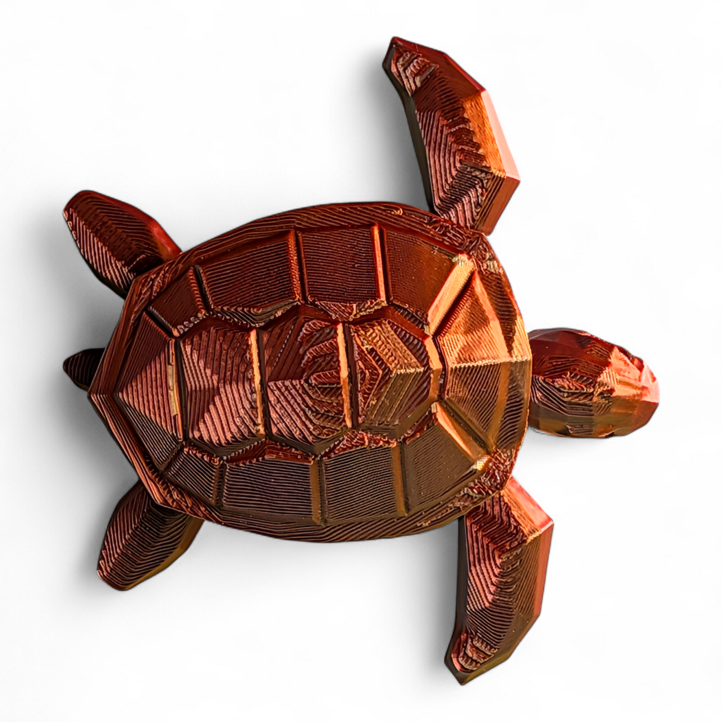 Articulated Sea Turtle