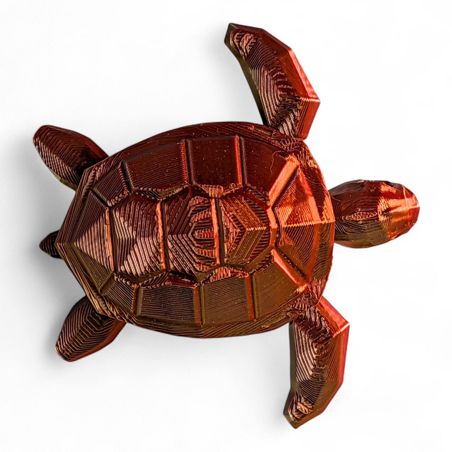 Articulated Sea Turtle