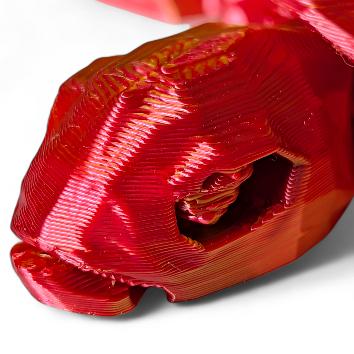 Articulated Sea Turtle