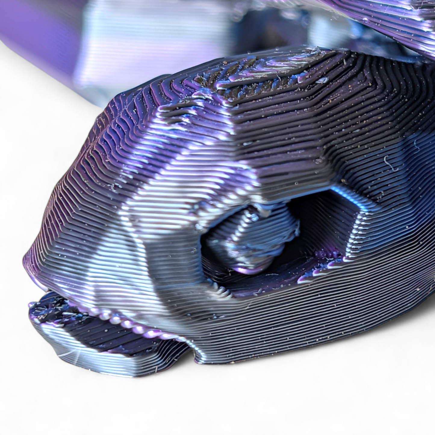 Articulated Sea Turtle