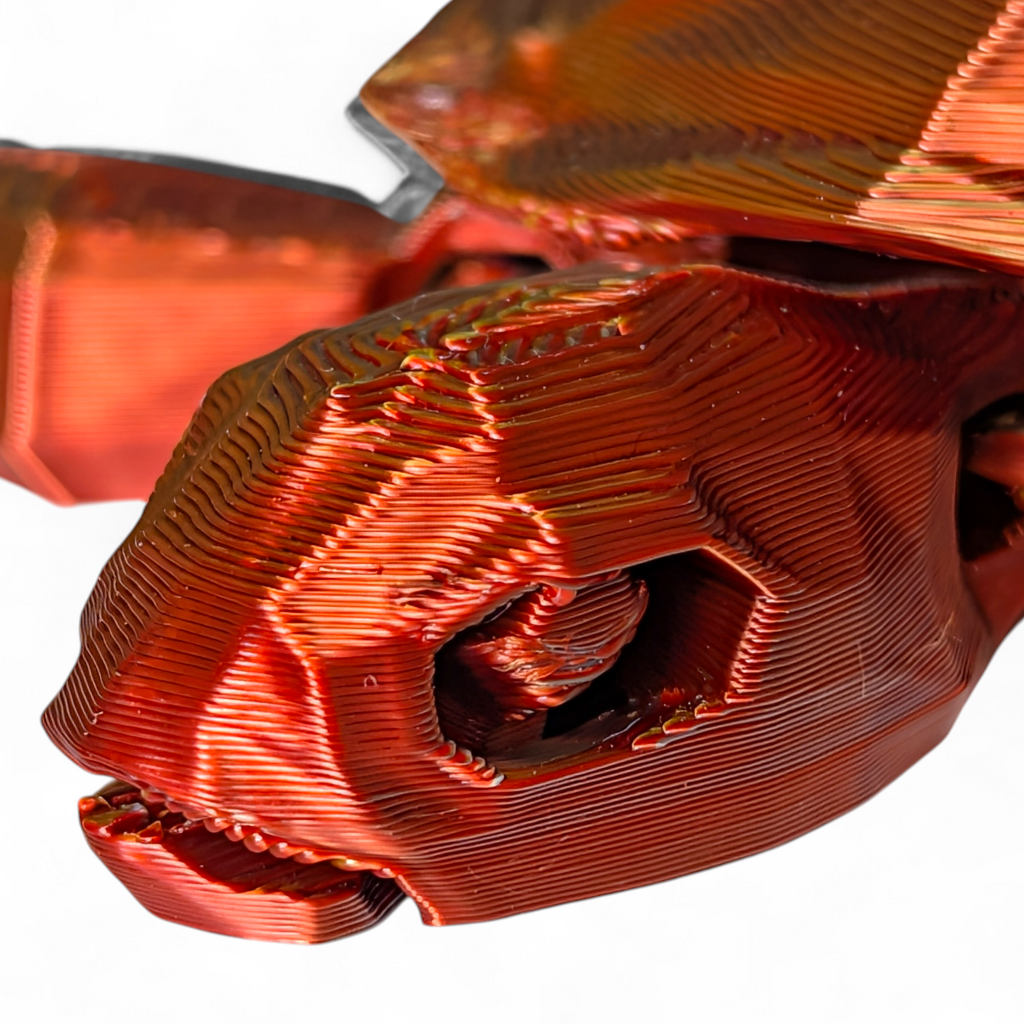 Articulated Sea Turtle