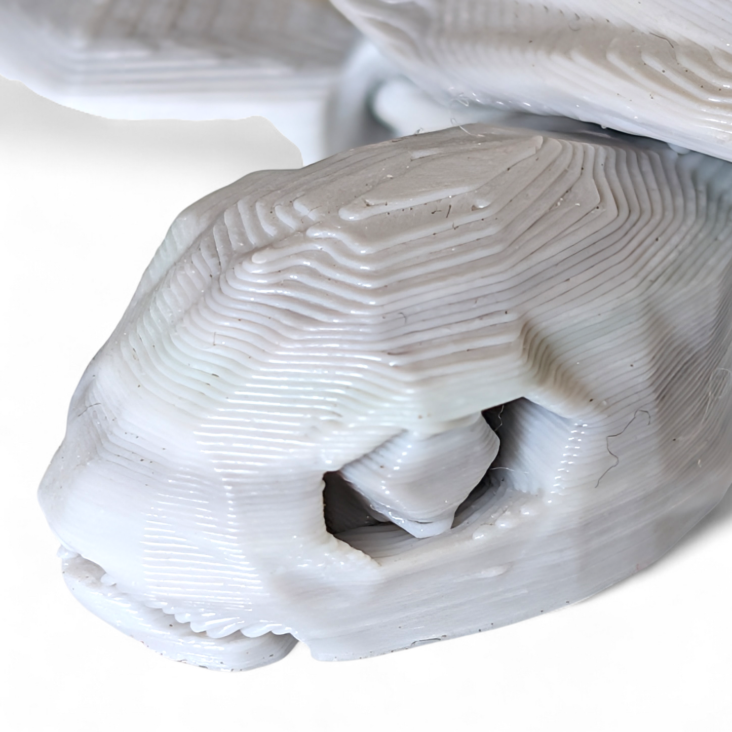 Articulated Sea Turtle