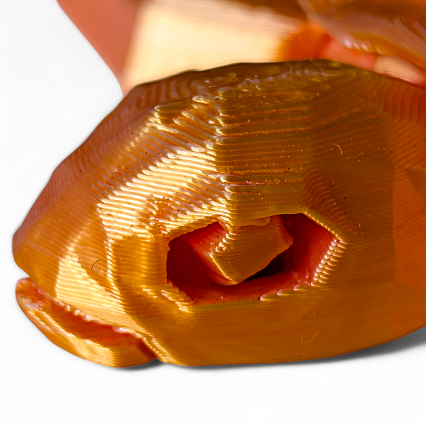 Articulated Sea Turtle