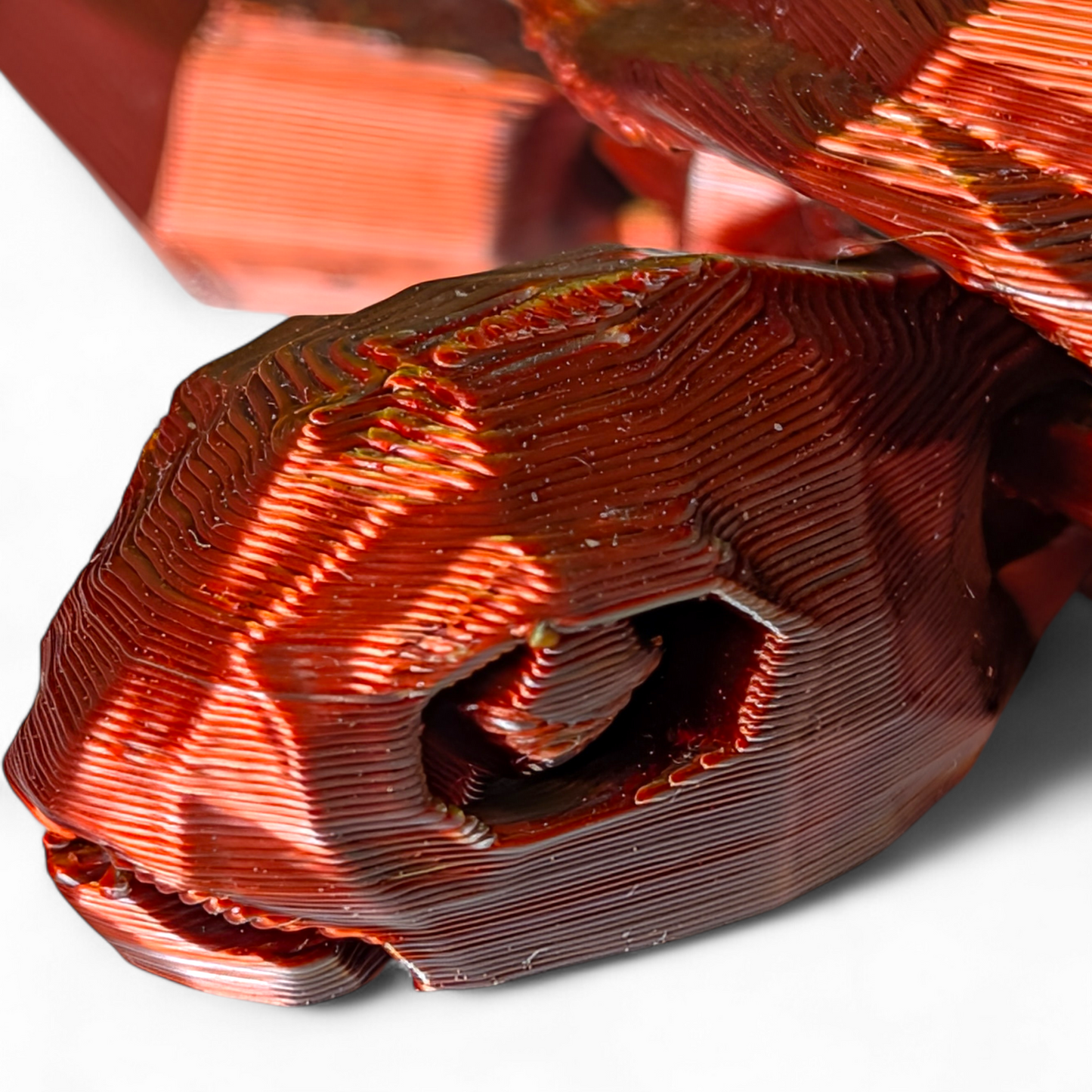 Articulated Sea Turtle