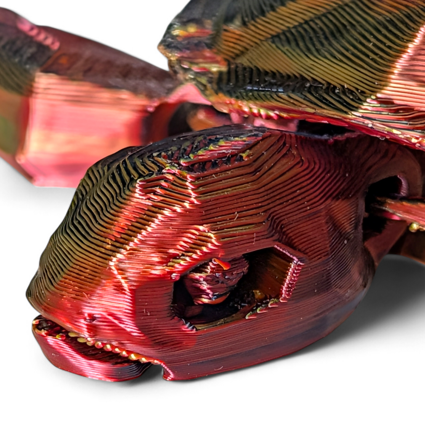 Articulated Sea Turtle