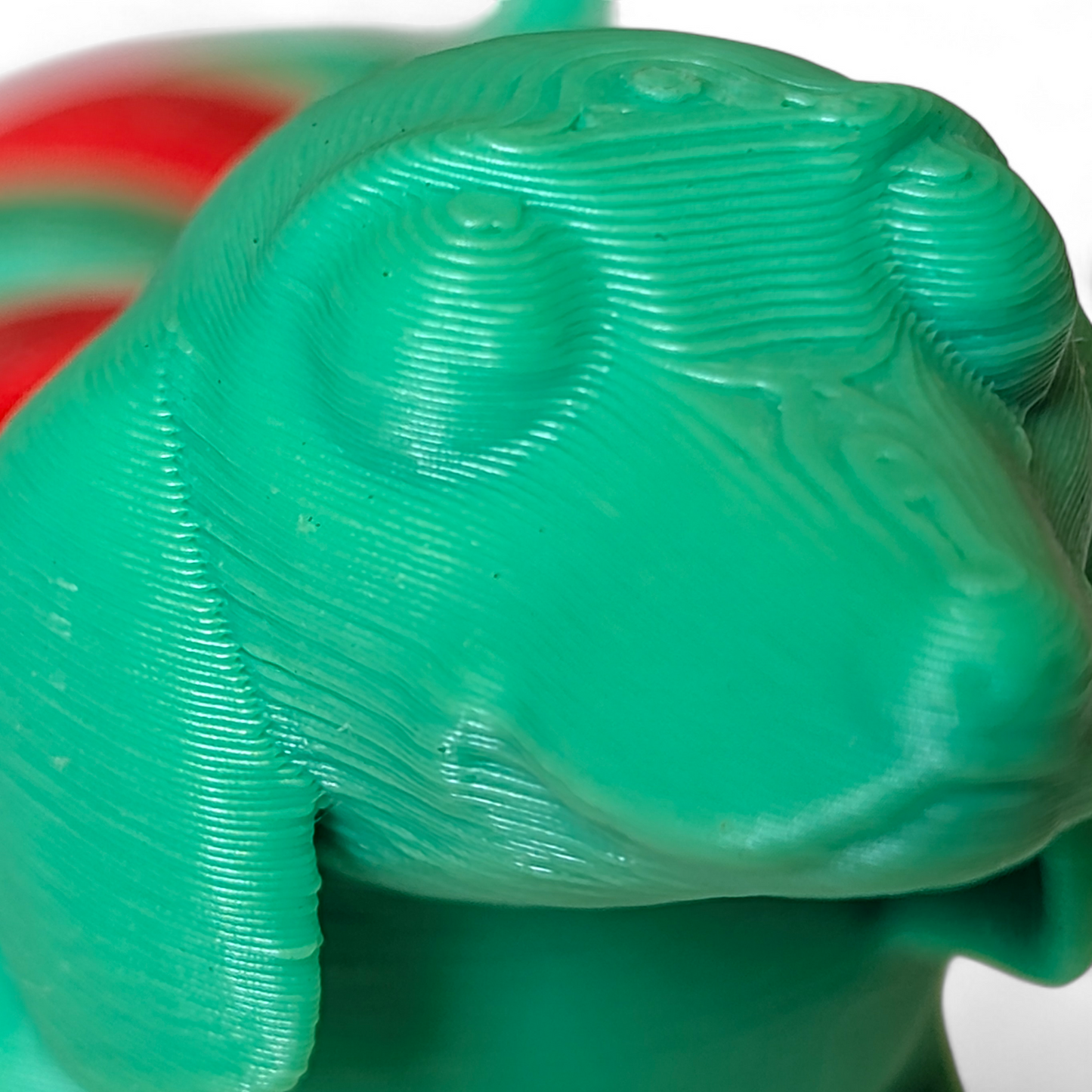 Small Dachshund Sausage Dog