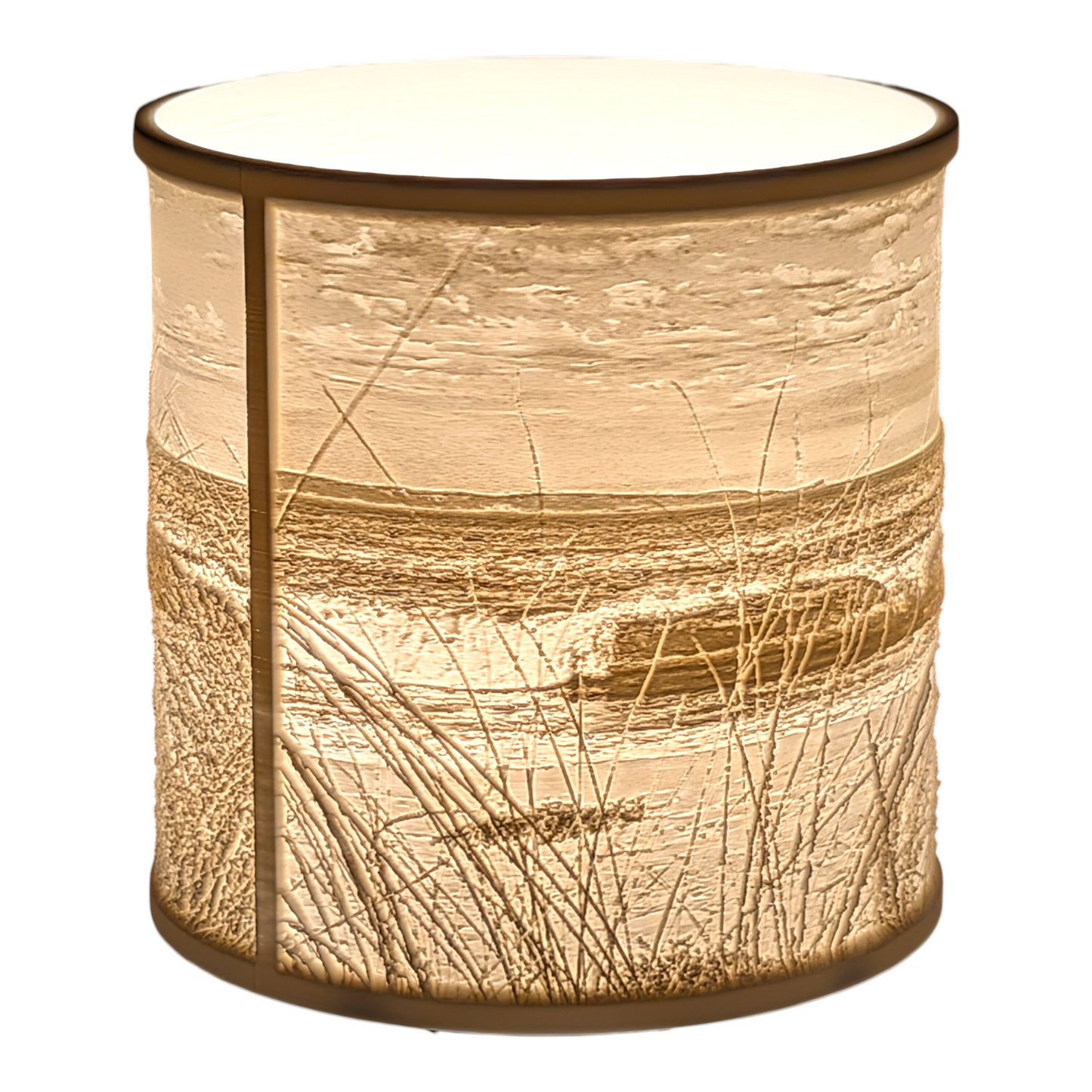 Shelly Beach Lampshade 14cm