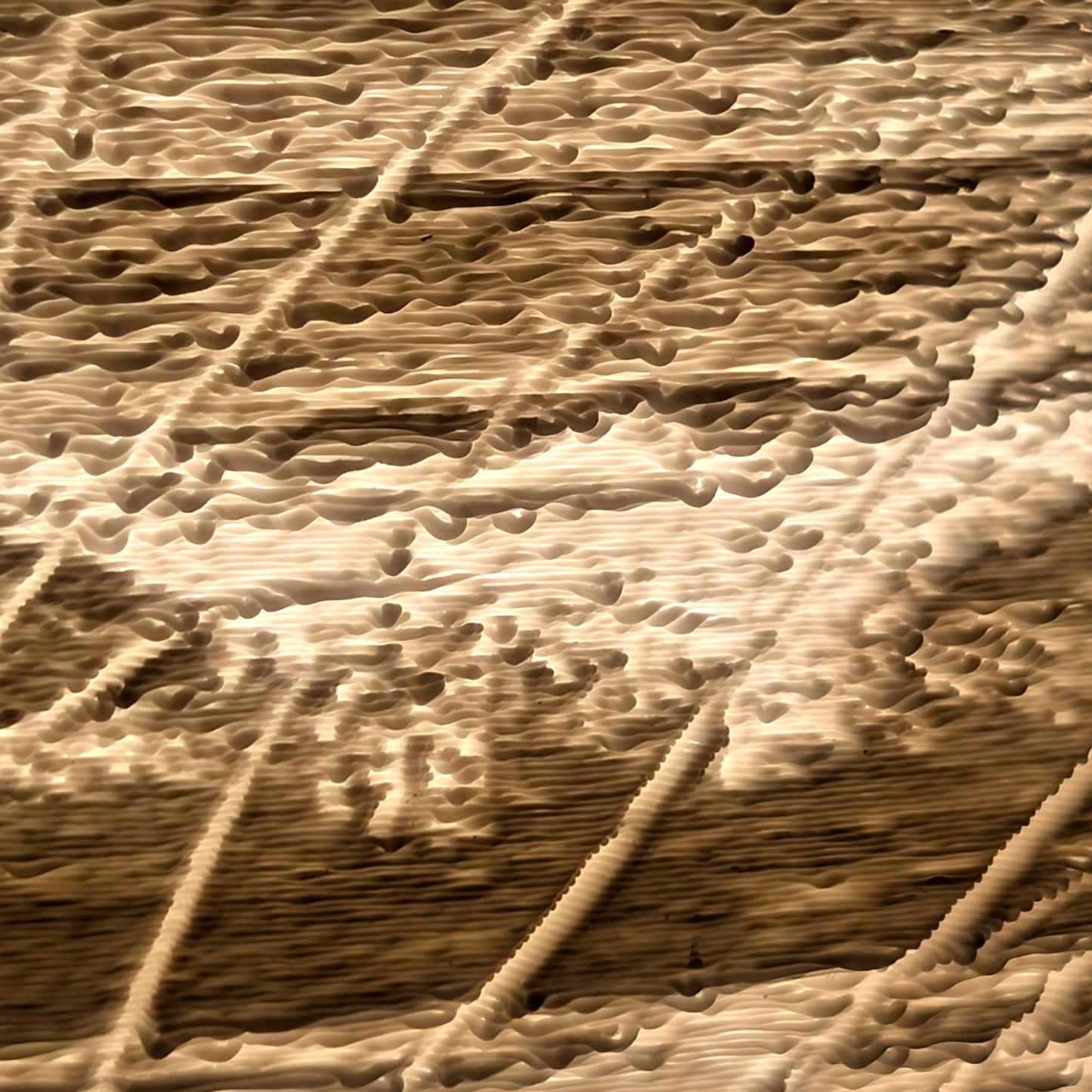 Shelly Beach Lampshade 14cm