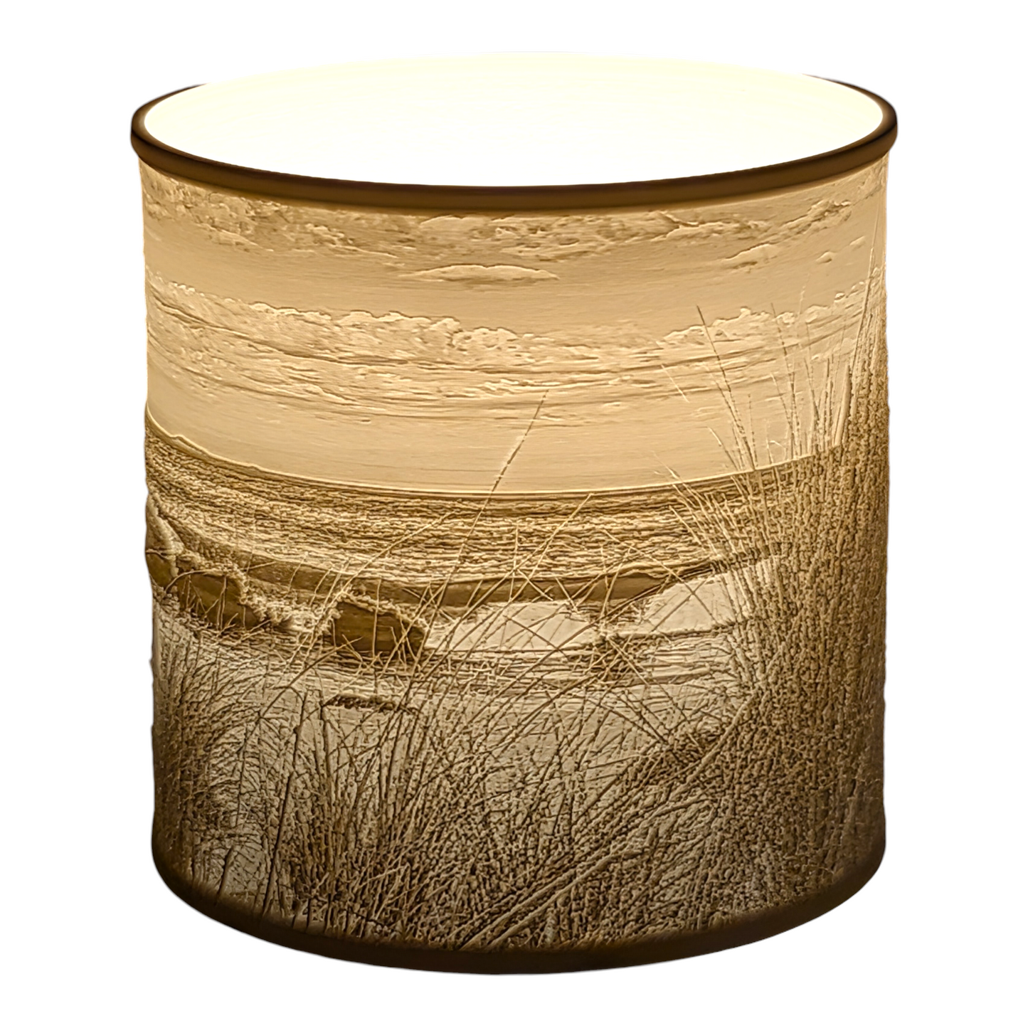 Shelly Beach Lampshade 19cm