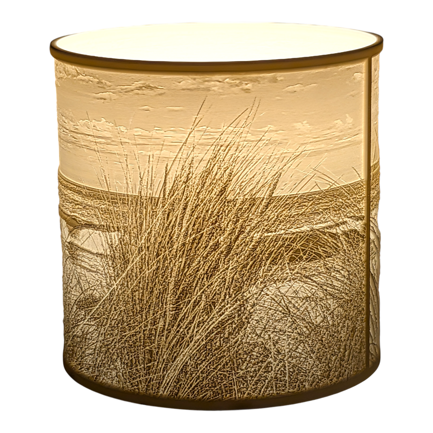 Shelly Beach Lampshade 19cm