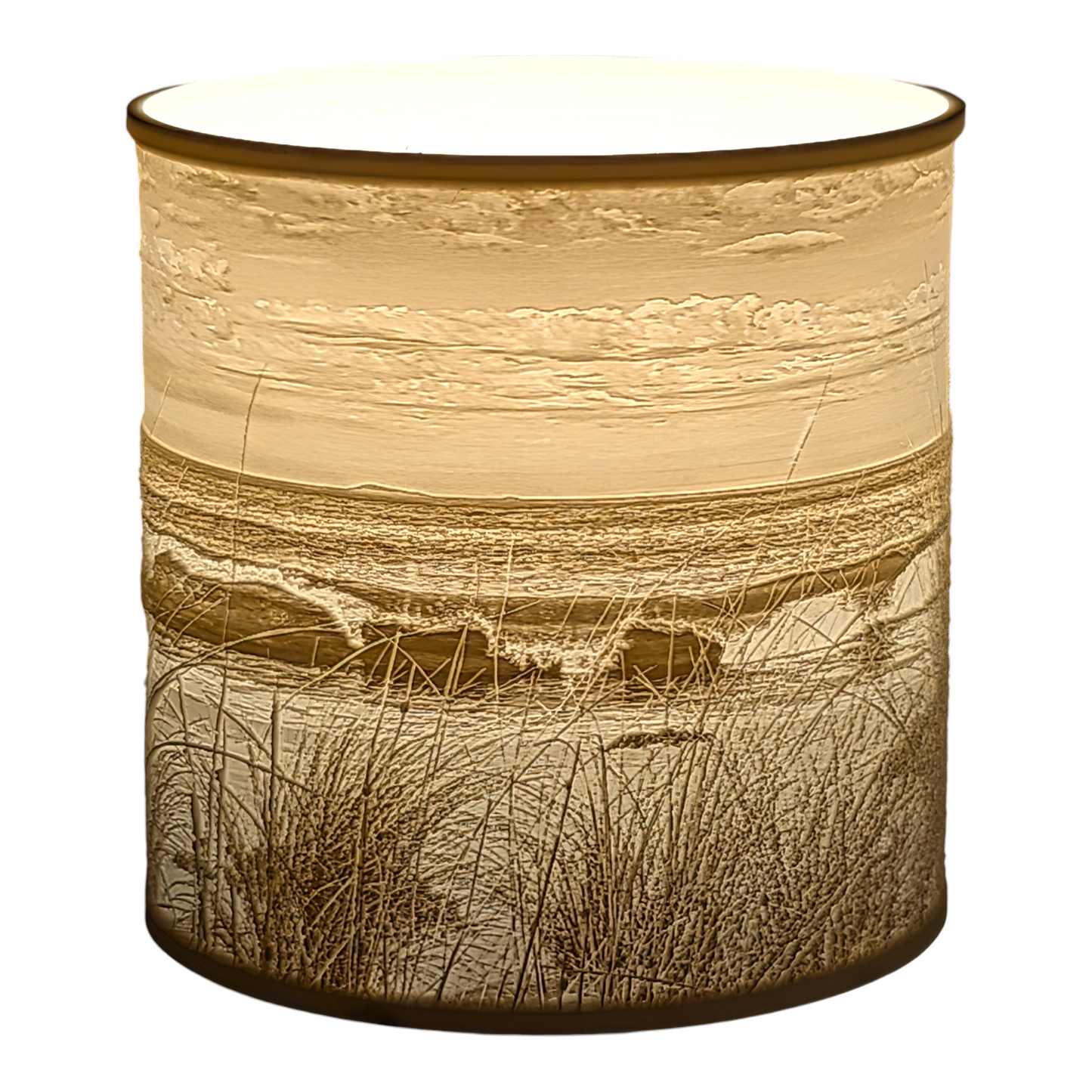 Shelly Beach Lampshade 19cm