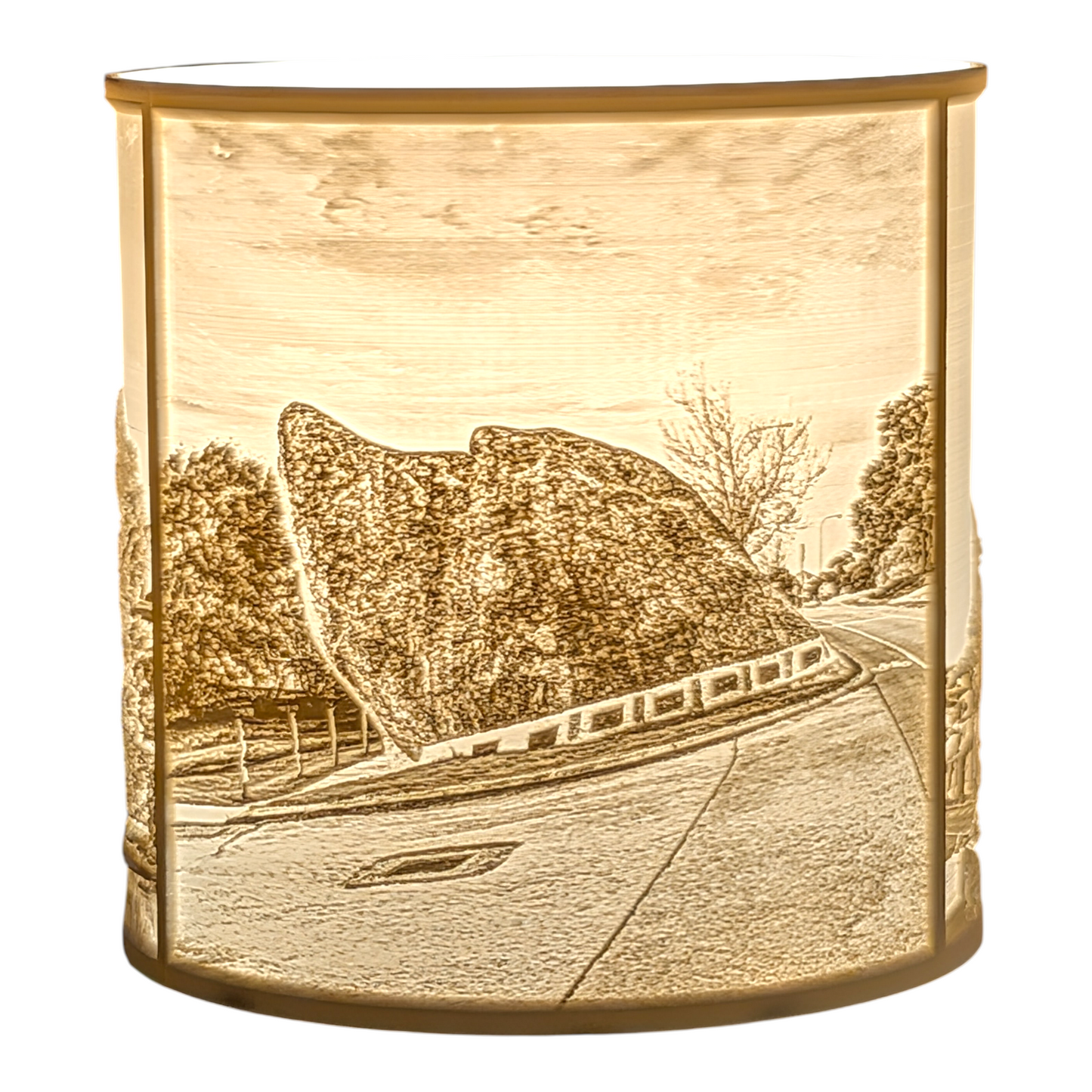 Albany Town Lampshade 19cm
