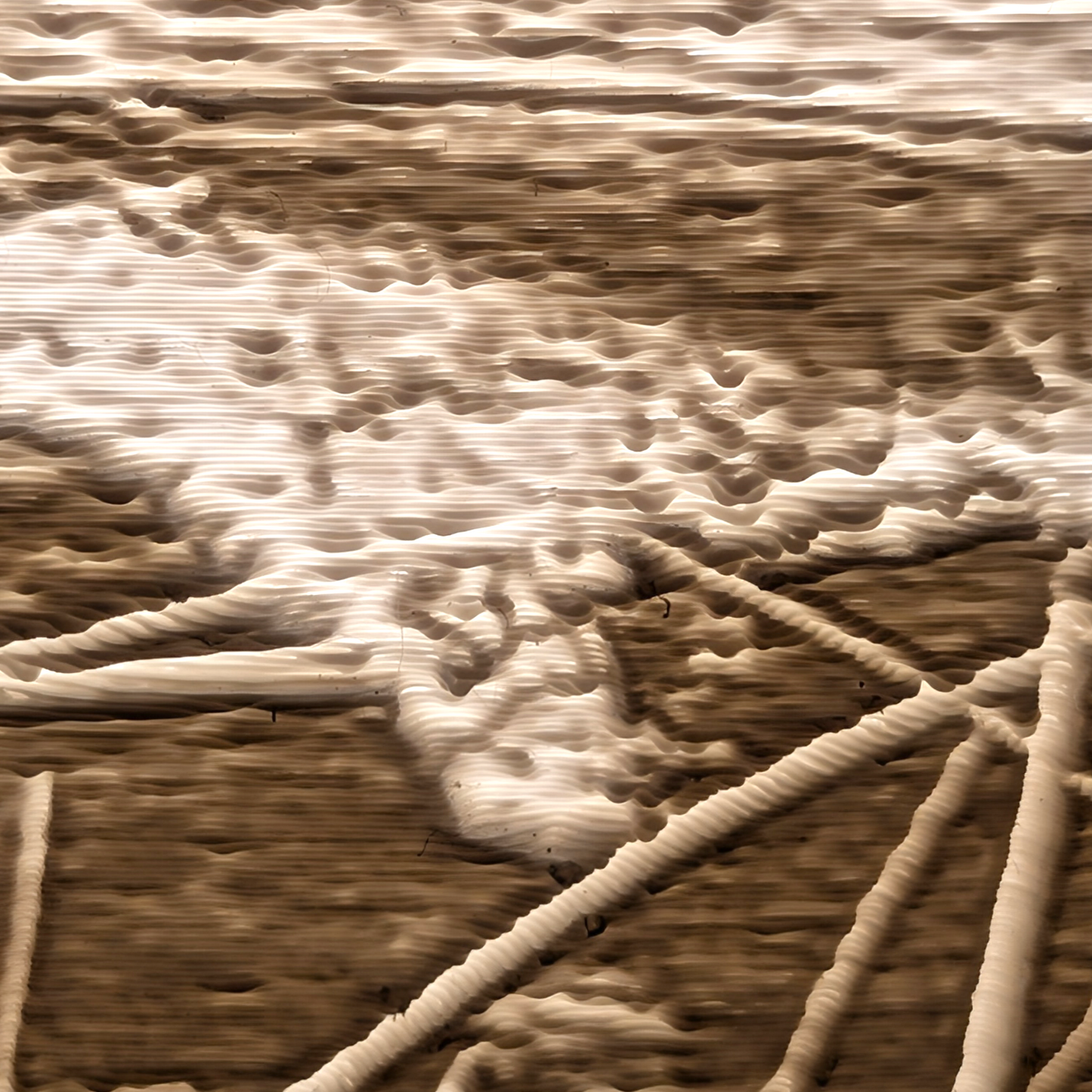 Shelly Beach Lampshade 28cm