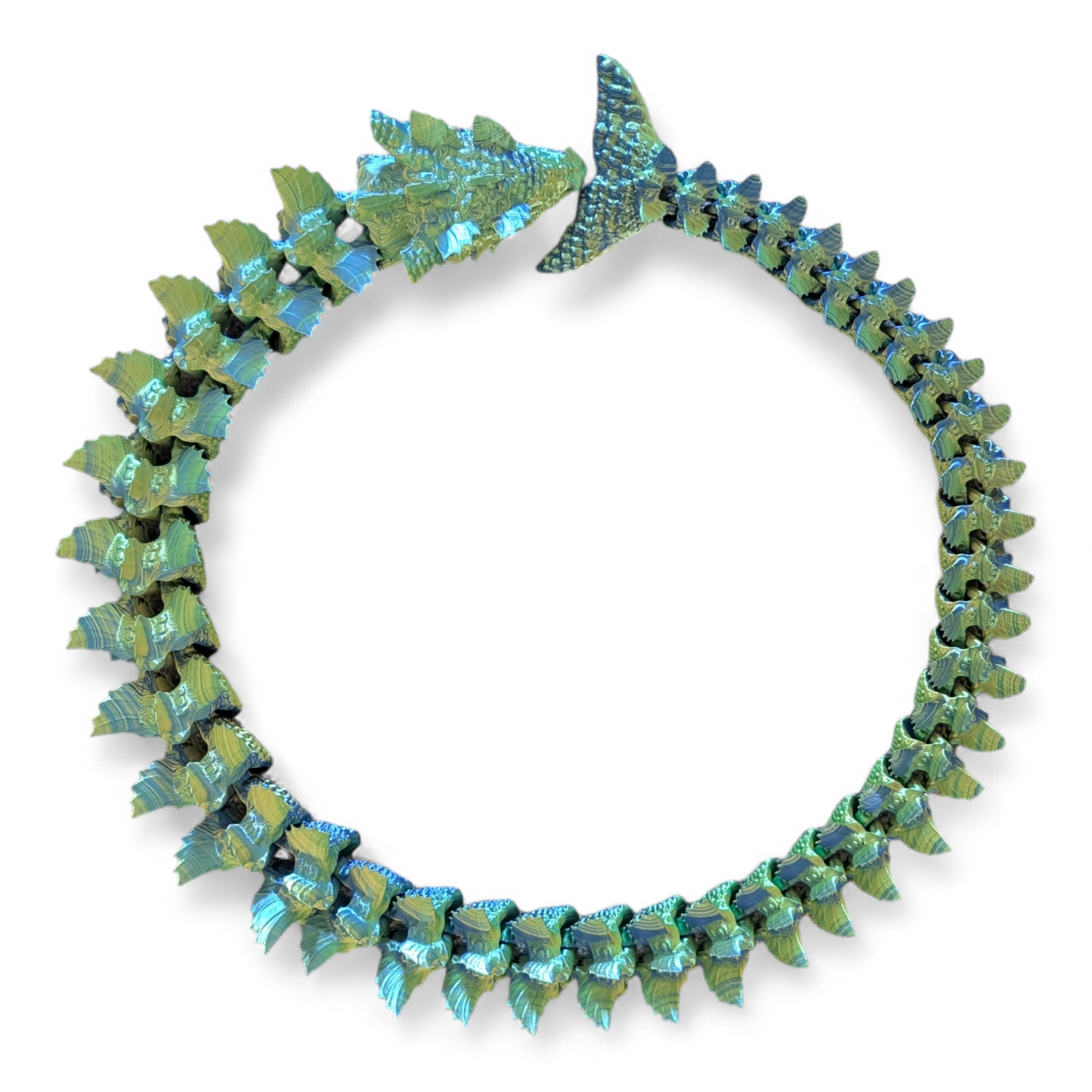 Large Articulated Water Dragon