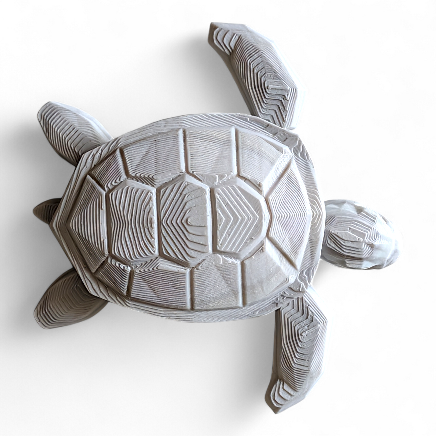 Articulated Sea Turtle
