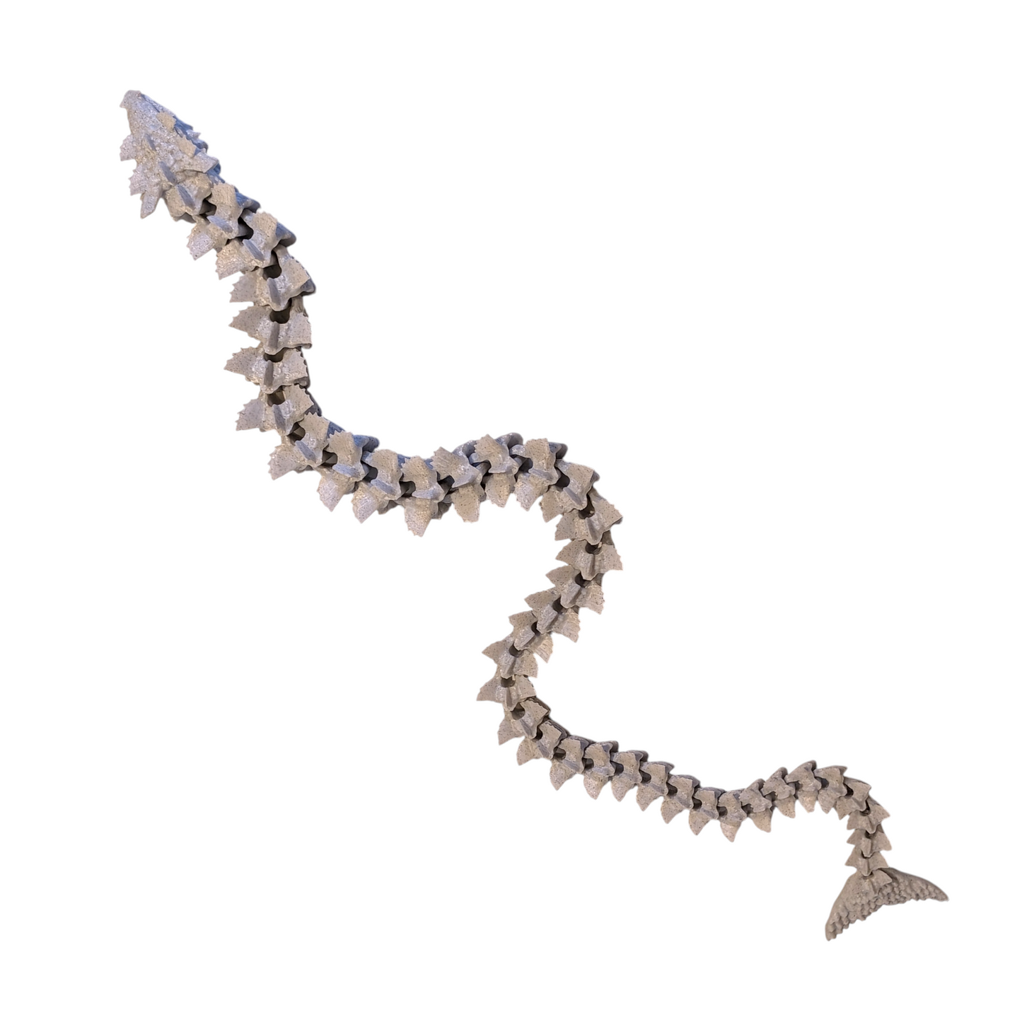 Articulated Water Dragon