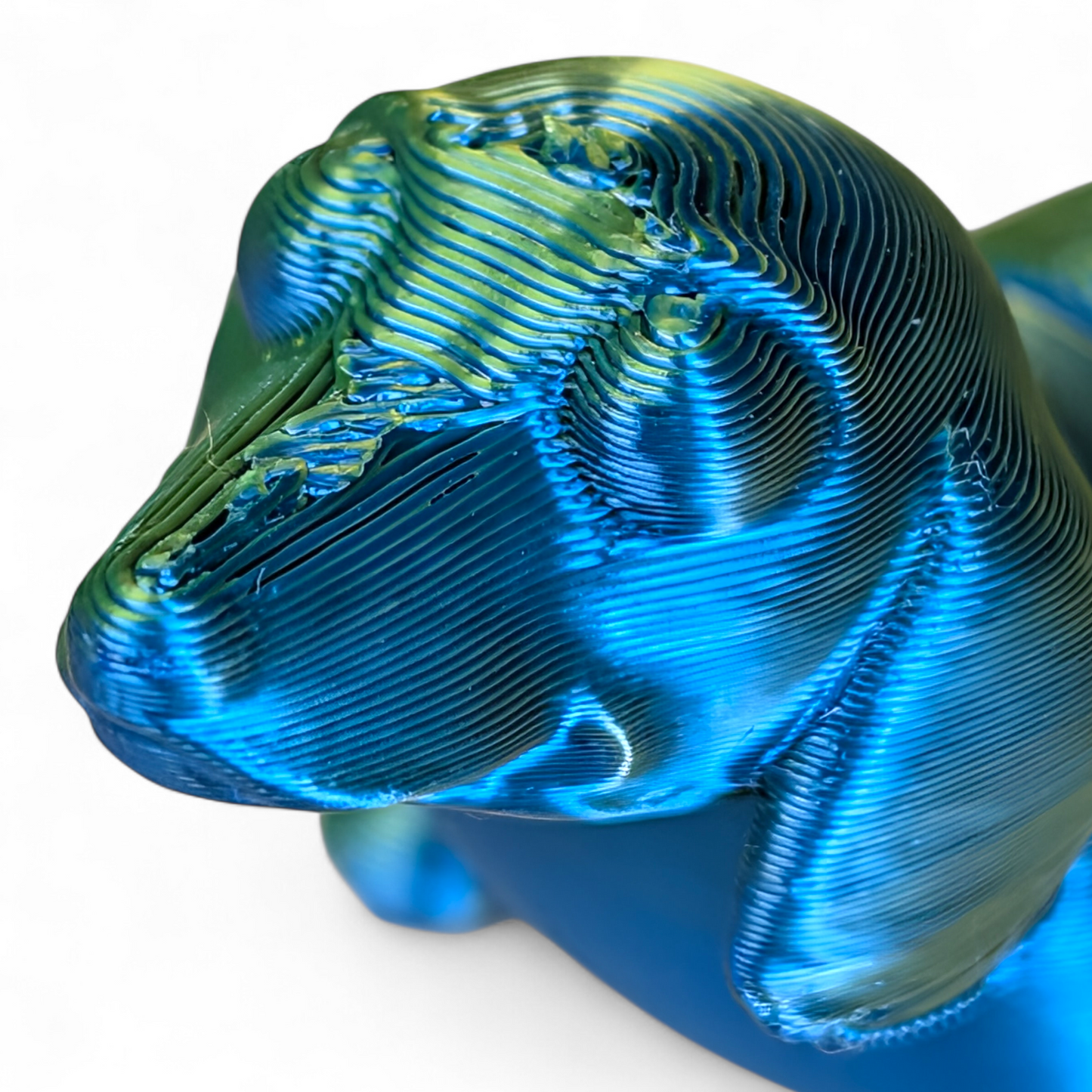 Small Dachshund Sausage Dog