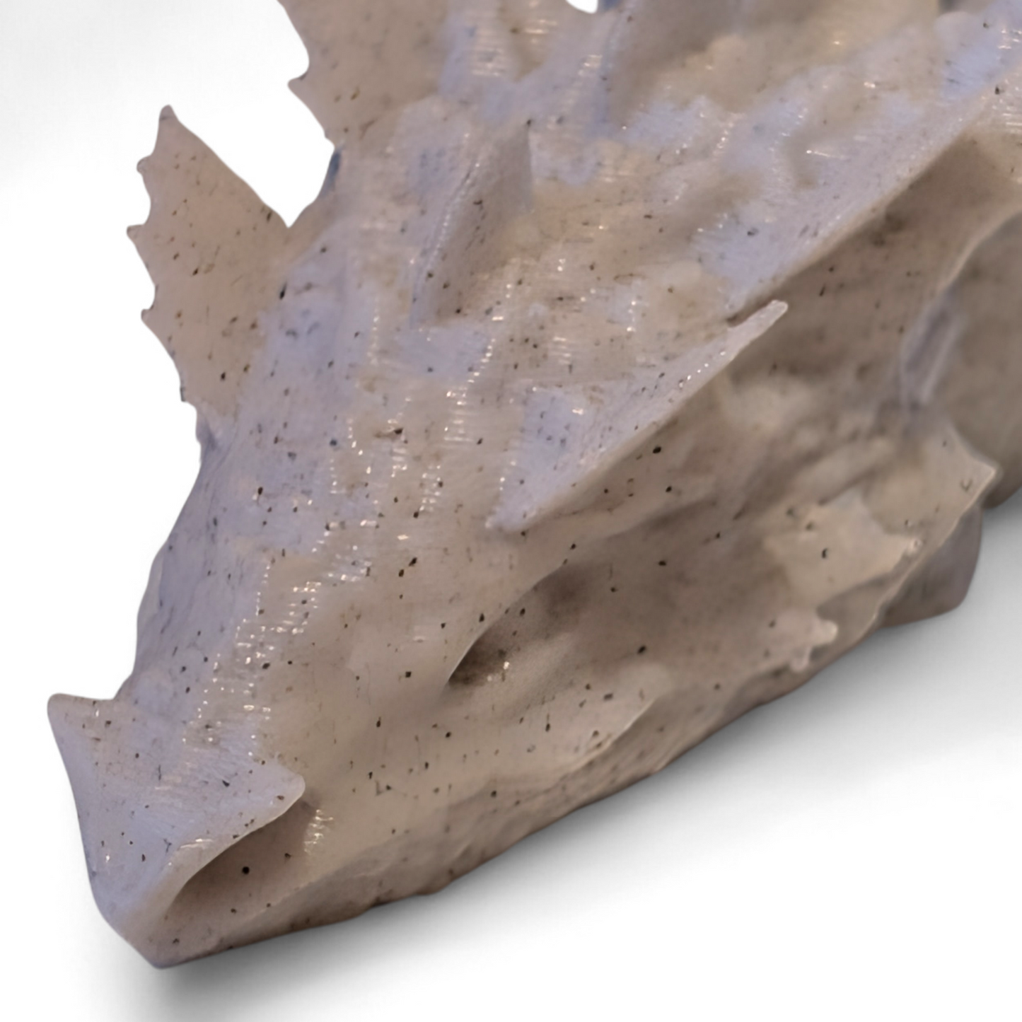 Articulated Water Dragon