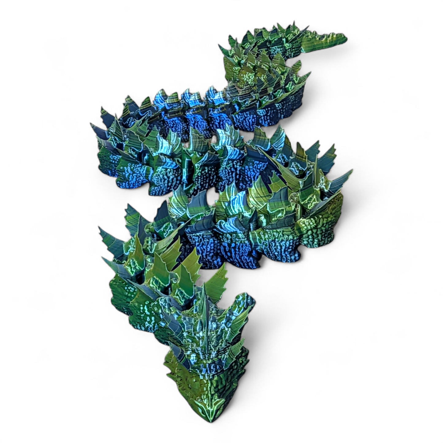 Large Articulated Water Dragon