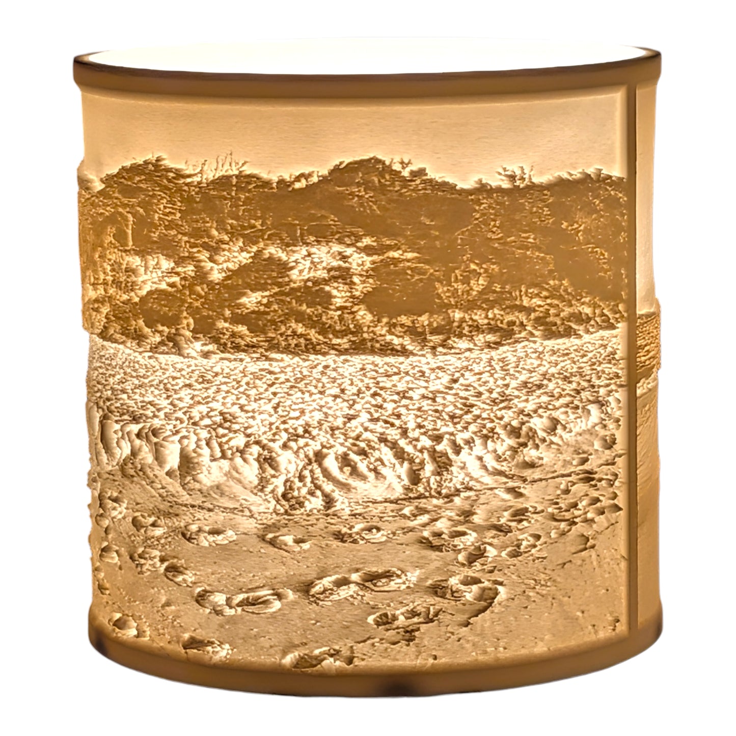 Misery Beach Lampshade 14cm