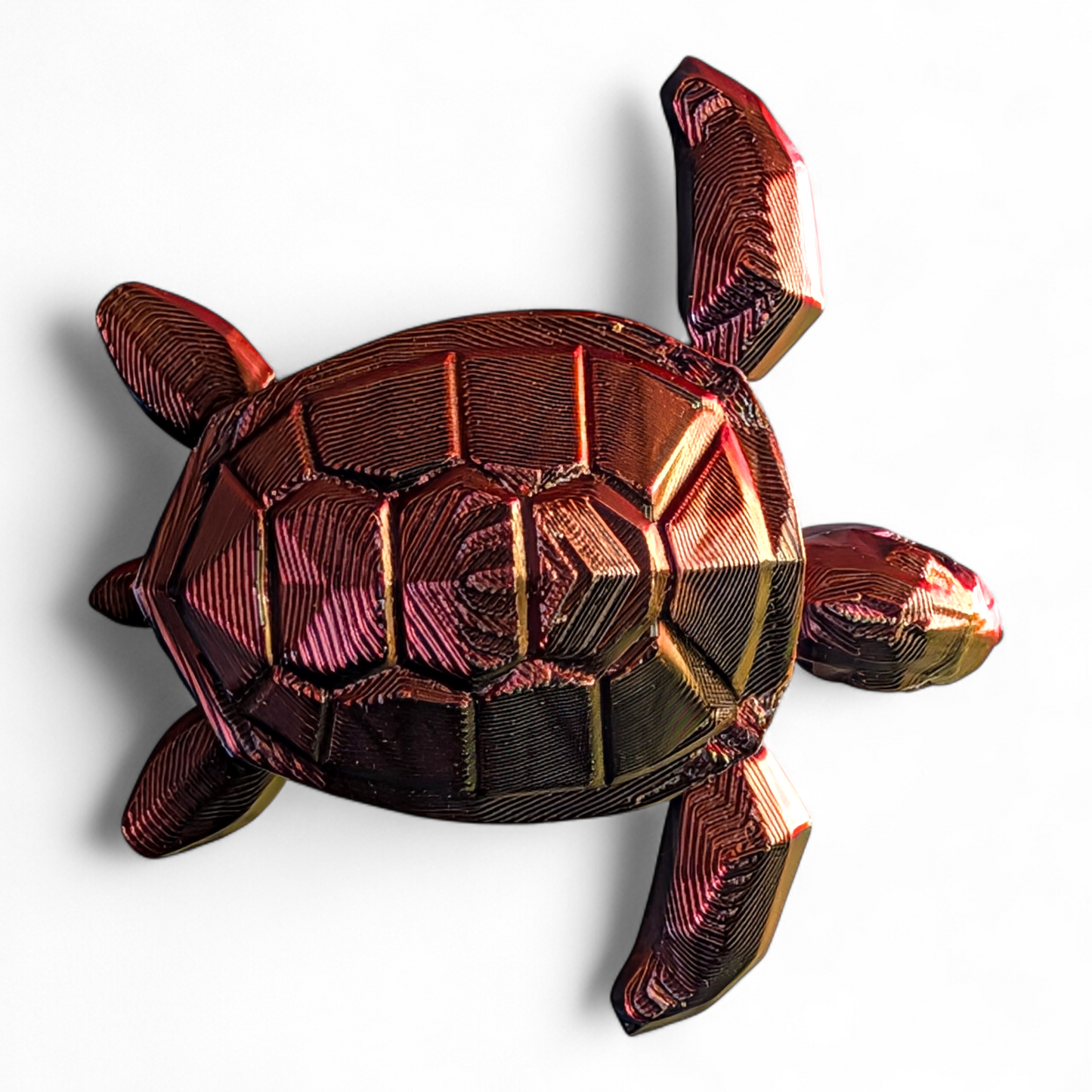 Articulated Sea Turtle