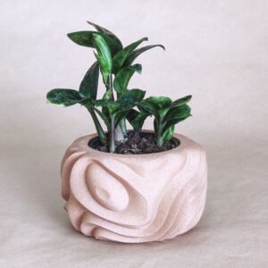 Geometric Pot Plant